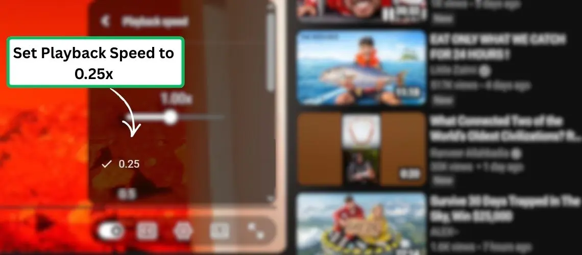 Set-Playback-Speed-to-0.25x.webp
